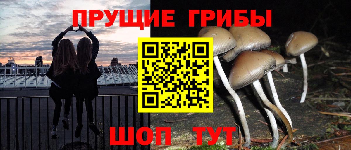 Галлюциногенные грибы MAGIC MUSHROOMS  наркошоп  Верхний Уфалей  Вход с VPN 